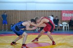 Районные соревнования по вольной борьбе в честь Конституции РФ