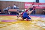 Районные соревнования по вольной борьбе в честь Конституции РФ