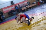 Районные соревнования по вольной борьбе в честь Конституции РФ