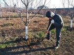 Оказание помощи Марие-Магдалинскому монастырю