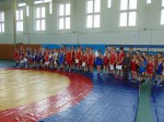 Соревнования по вольной борьбе